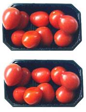 Tomaten-2x9.jpg